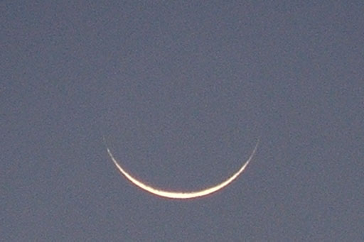 Psak 5769 Adar 2-1.jpg